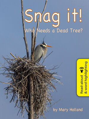 cover image of Snag It